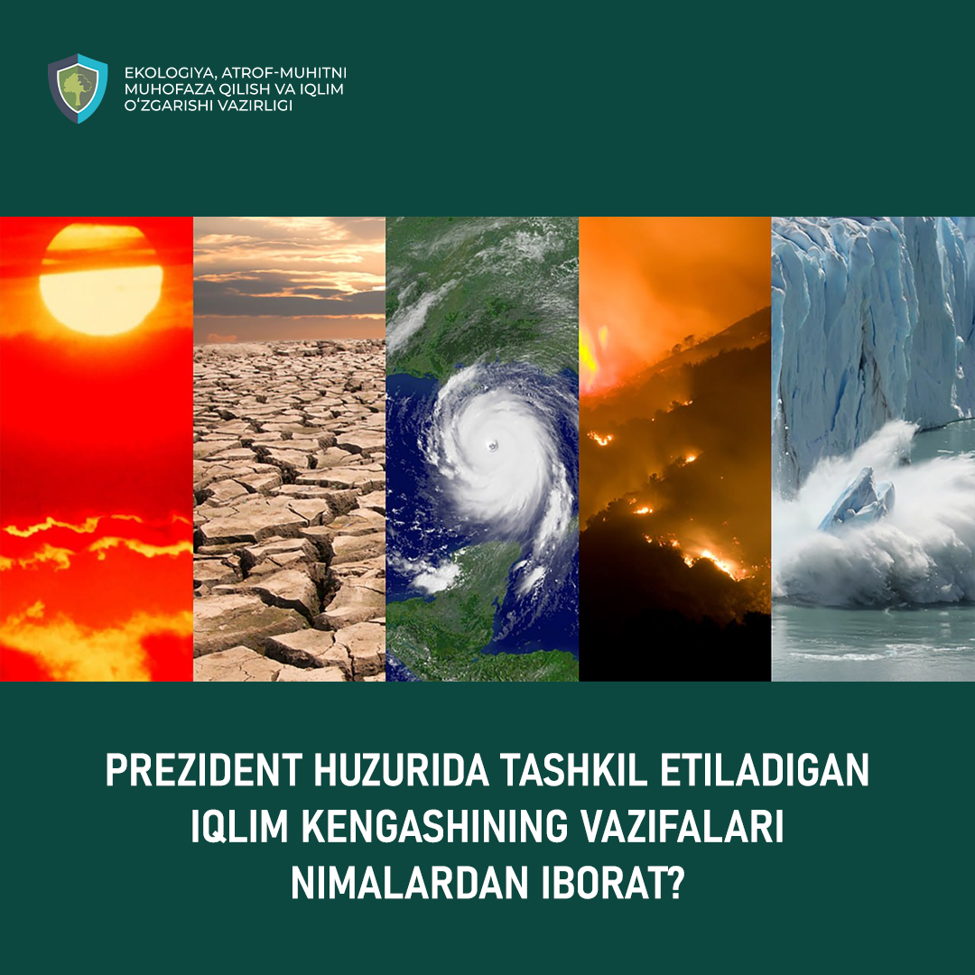 Project Org Chart By Task What are the tasks of the Climate Council under the President of the ...